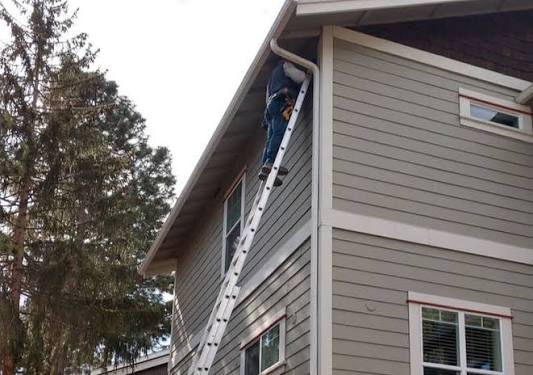Easy Pest Control Tips: Keep Your Home Bug-Free Today!